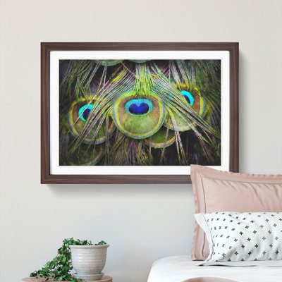 Peacock Feathers - Picture Frame Graphic Art Print