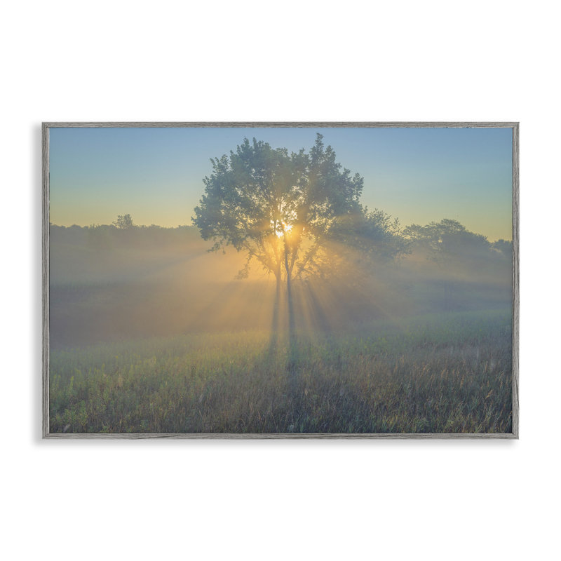 Art giclée sur un arbre lumineux par Marty Hulsebos, Estampe numérique Farmhouse, H 16 po x l 24 po