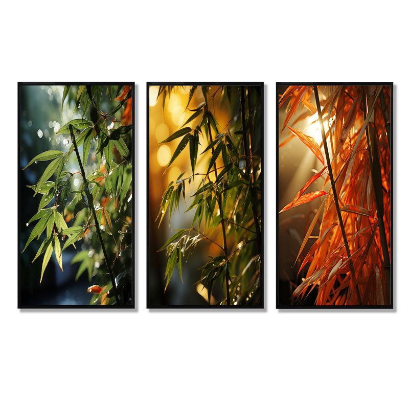 Bamboo Sunset Photography, H 28 po x l 36 po, Cadre flottant noir