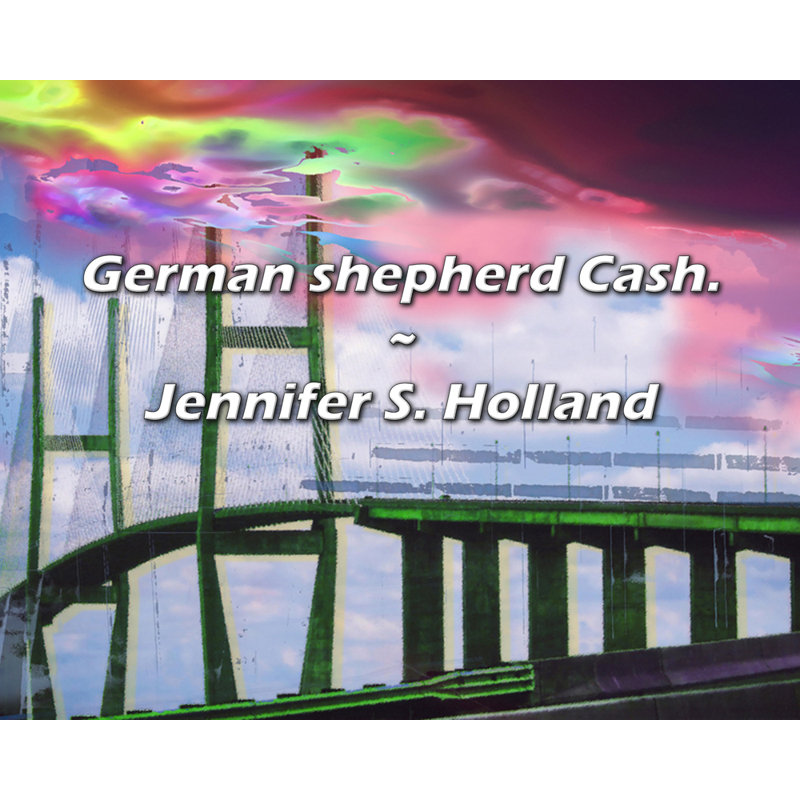 Citation de Jennifer S. Holland: «Berger allemand»., H 20 po x l 24 po