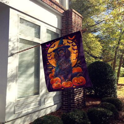 Drapeau de jardin d'Halloween en polyester Jalesa