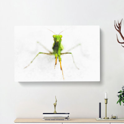Praying Mantis - Wrapped Canvas