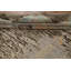 Tapis turc Oushak 10x13