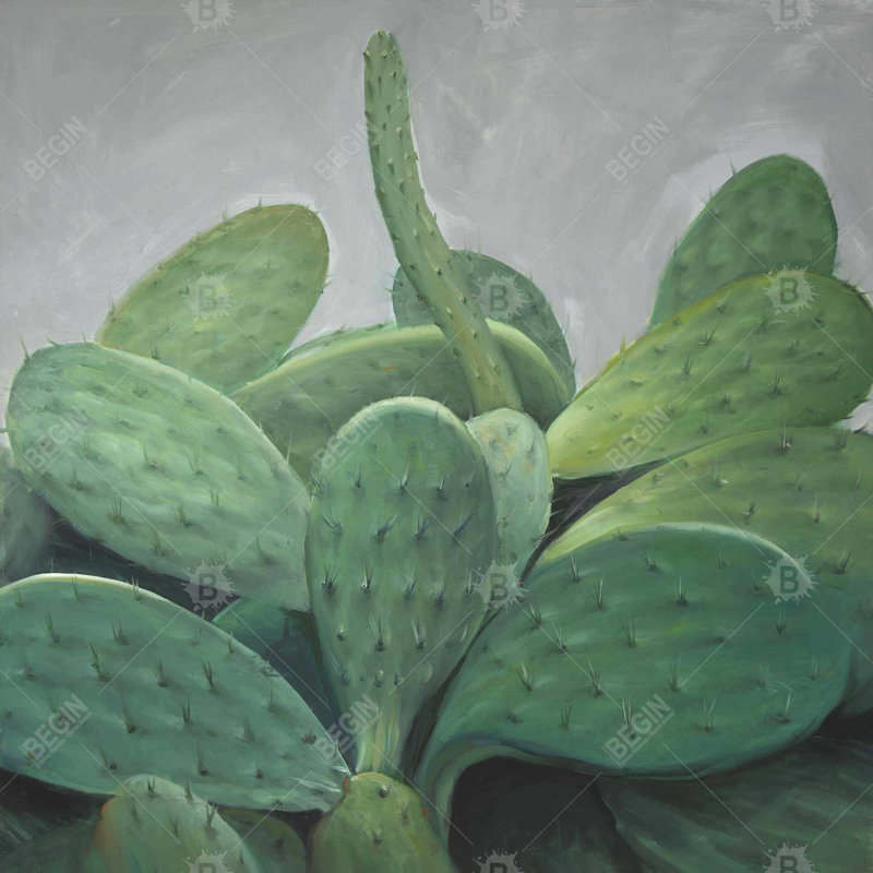 Cactus bundle - 18"x18" Throw pillow cover - Poly twill - Print on demand, 18"H x 18"W