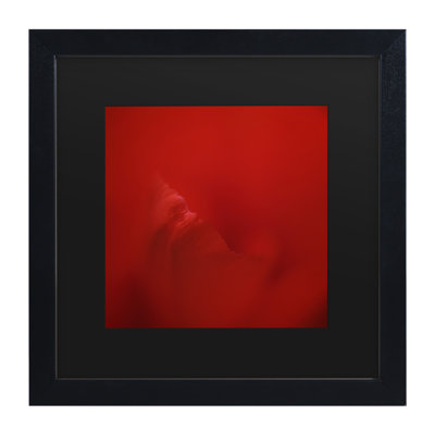 " All Red " by Lotte Gronkjar