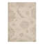 Oriental Area Rug in Ivory