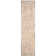 Coyer Performance Oriental Rug