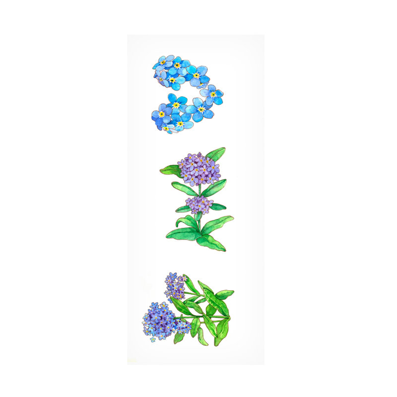 «Forget Me Nots On» par Wendy Edelson, art sur toile, H 32 po x l 14 po