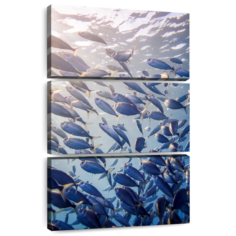 Brampt Curacao Fish