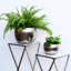  Indoor Planter, Decorative Hammered Metal Bowl-35318725-35458531