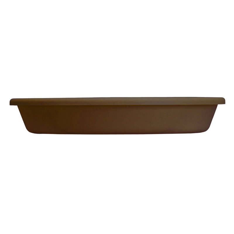 Soucoupe Isakson, H 1,5 po x l 14,25 po x P 14,25 po, Chocolat