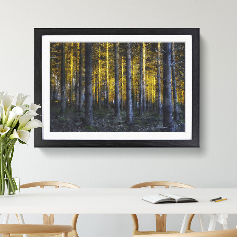 Sunlight Forest Vol.4 - Picture Frame Painting, Black Framed, 48cm H x 65cm W x 2cm D