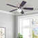 Carleny 42'' Ceiling Fan with LED Lights