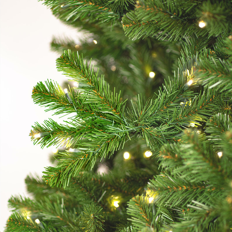 Vickerman Deluxe Sequoia Pine Artificial Full Pre-Lit Christmas Tree with Warm White LED 5MM Lights., 6.5'