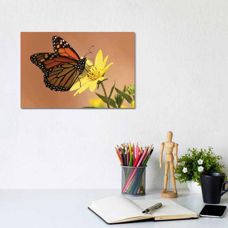 Monarch Butterfly by Brian Wolf - Wrapped Canvas Print, 20.32 cm H x 30.48 cm W