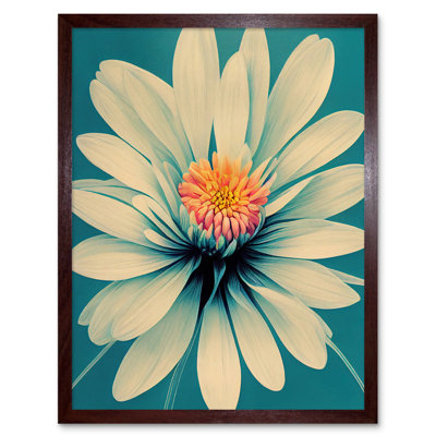 Chrysanthemum Floral Bloom Macro Flower - Print