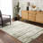 Rectangle Rokicki Area Rug-84419384