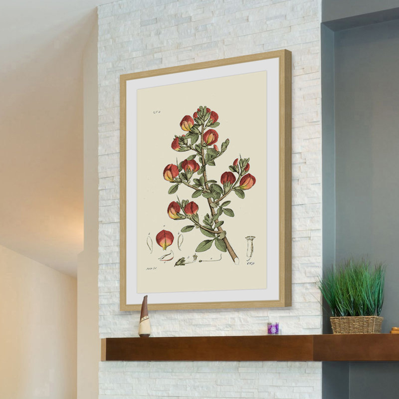 «Antique Floral I», reproduction d'art encadrée, H 24 po x l 16 po x P 1,5 po