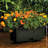 Lionnel Planter Box-1977765777
