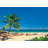 Celestyn 6.4' L x 106.8" W 4-Panel Wall Mural