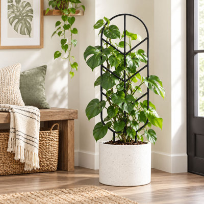 30'' Metal Plant Trellis for Indoor and Outdoor Climbing Plants, Set of 2