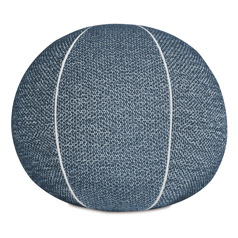 Novelty Indoor/Outdoor Pillow Cover & Insert, Blue