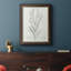 Botanical Study in Sage I - Peinture sur toile encadrée-1907806771
