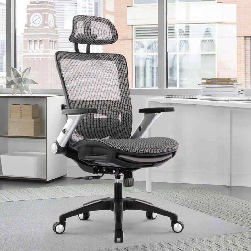 Fauteuil de bureau Ergo Mesh, Gris foncé, Noir, noir, noir, noir