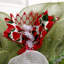 Couronne de fraises printanière