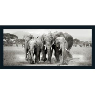 Elephant Herd - Single Picture Frame Print