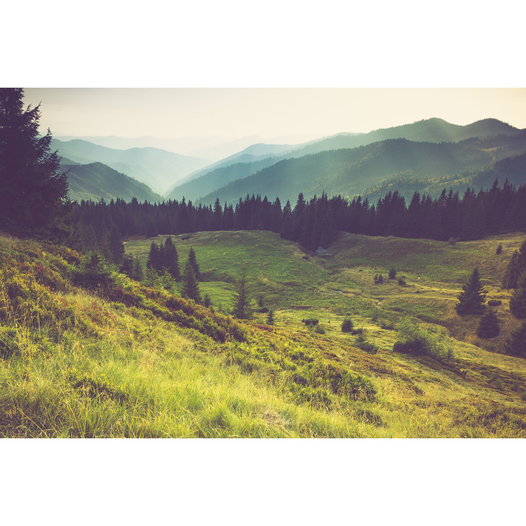 Leinwandbild Misty Summer Mountain Hills Landscape