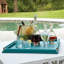 Fat Bottom Decanter-Clear