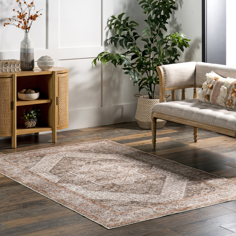 Sanna Distressed Medallion SplashGuard Machine Washable Area Rug, Rectangle 4' x 6'