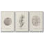 Shore Treasure Study I, ensemble de 3 toiles encadrées-97707039-97707040