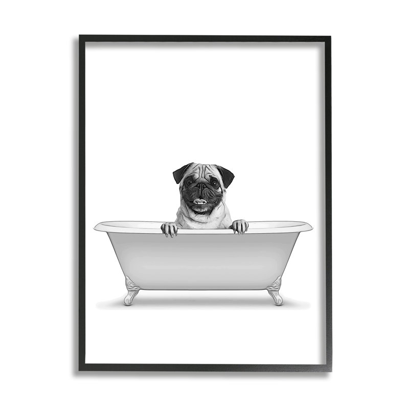 Black Framed Canvas Print of Pug Dog in Bathtub