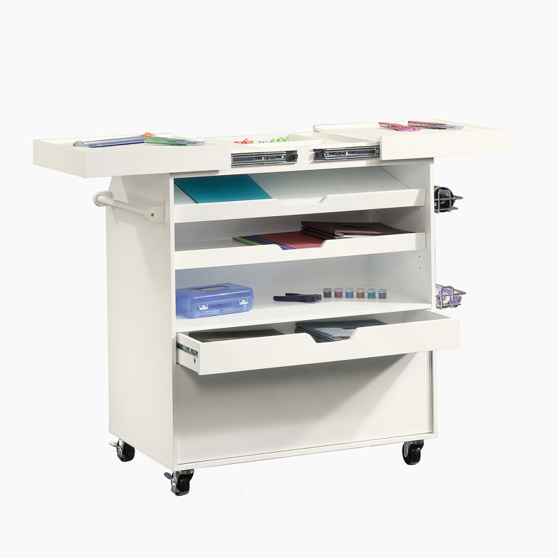 Storage Cabinet With Storage Drawers And Two Adjustable Shelves