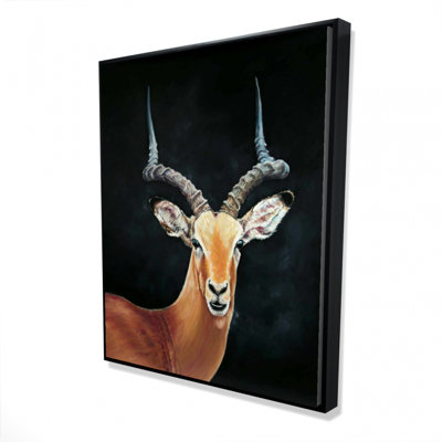 " Antelope "