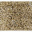 Sterling Hand Tufted Area Rug in Tan-719652098