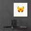 «Yellow Butterfly 2» par Photoinc Studio, art mural en verre acrylique-1814454296