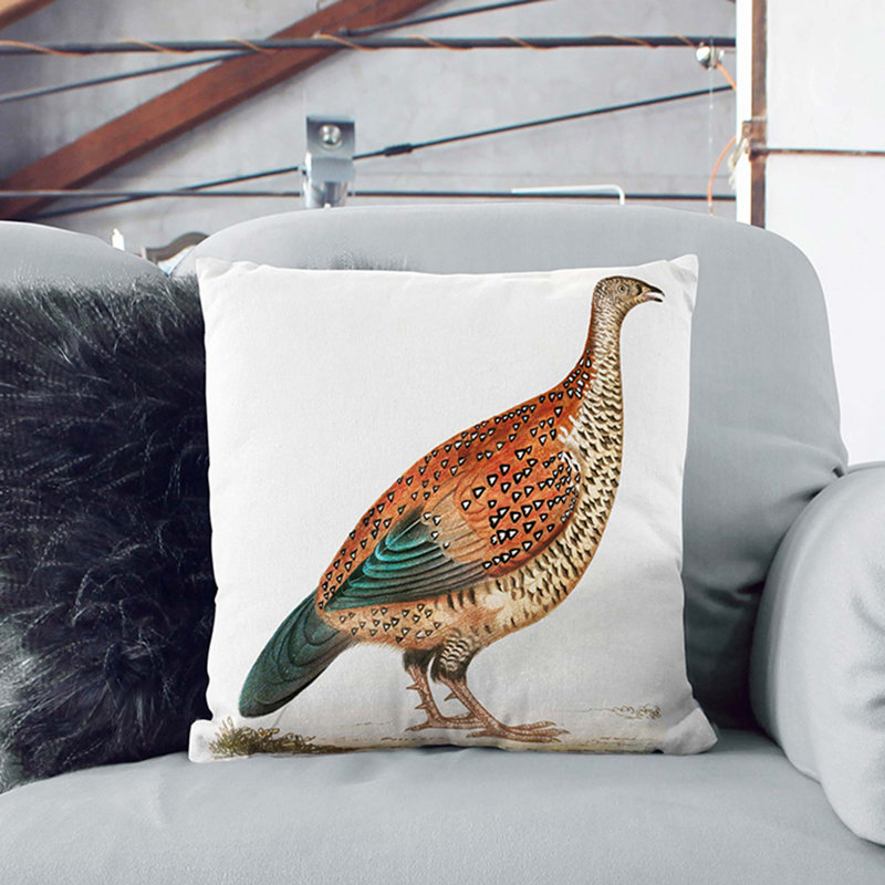 Curria Partridge Illustration Square Throw Cushion, 40cm H x 40cm W x 15cm D, Black