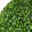 Sphère de jardin topiaire vert bicolore bicolore-18523510