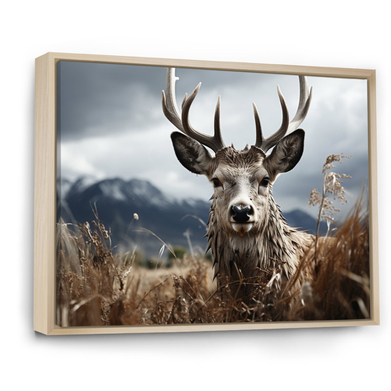 Photographie de cerf monochrome III - animaux, H 34 po x l 44 po x P 1,5 po, Cadre naturel flottant