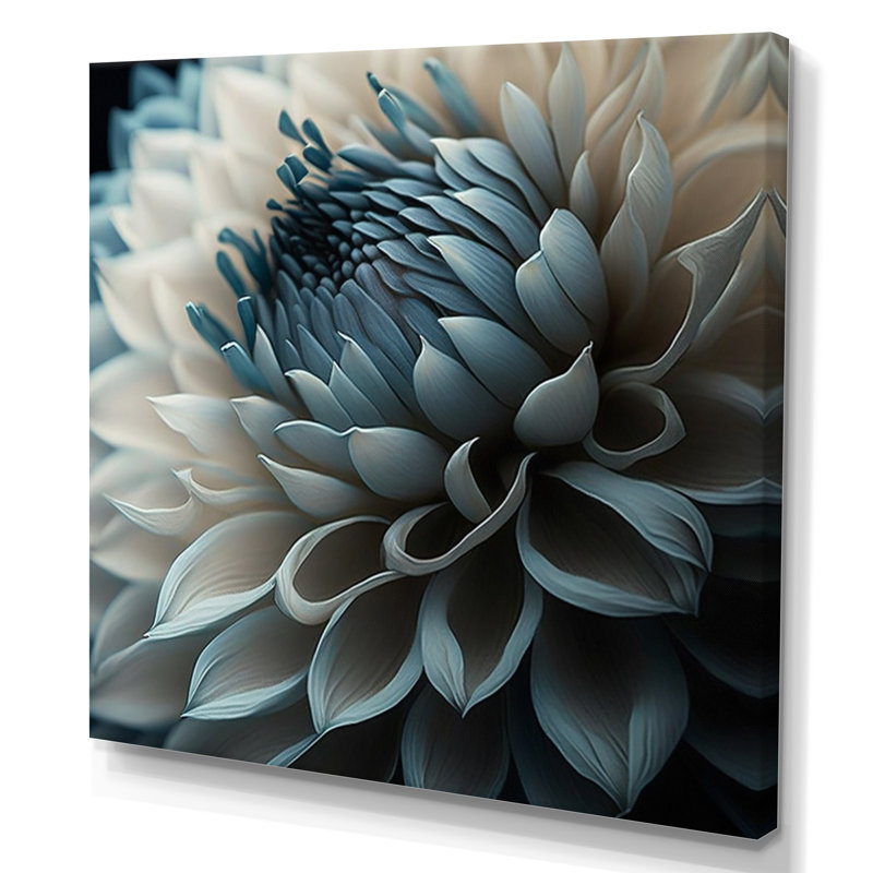 Bleu et blanc fleurs de dahlia II - art mural dahlia, H 24 po x l 24 po, Toile tendue