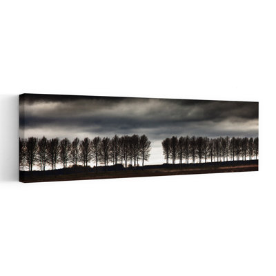 Stormy Sky Trees by Harry Verschelden - Wrapped Canvas Panoramic Print