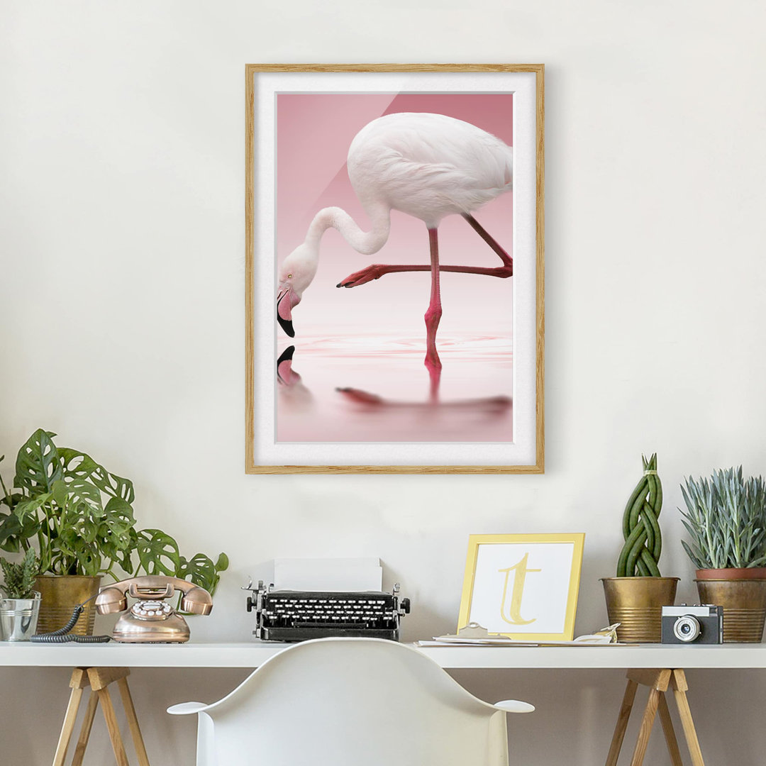 Gerahmtes Poster Flamingo Dance