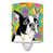 Boston-terrier noir/blanc