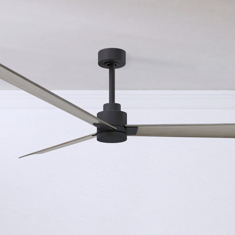 Ventilateur de plafond Alessandra 72, Noir mat, Ton bois de frêne gris