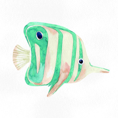 " Copperband Butterfly Fish "