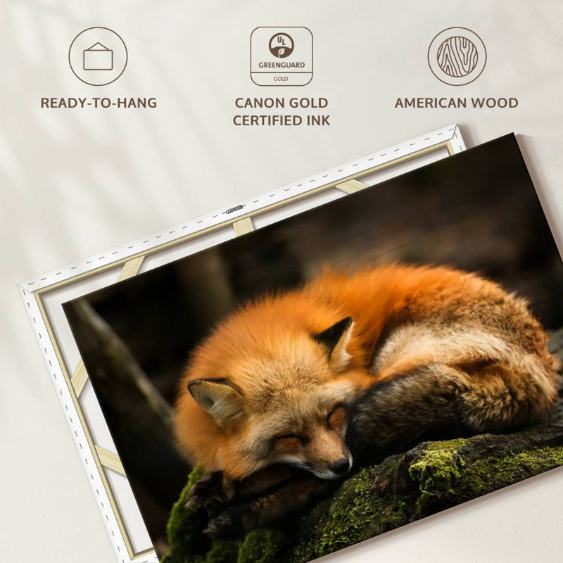 Brampt Sleeping Yellow Fox, 30'' H x 45'' W