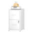 Abheek 2-Drawer Metal Vertical Filing Cabinet for Home Office-735549573
